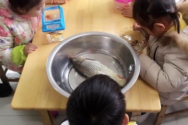 Cười đau bụng với bộ ảnh "khi bố mẹ nói một đằng, con hiểu một nẻo"