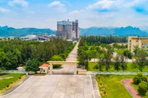 Vì sao Phó Tổng Giám đốc Công ty Cổ phần xi măng Hạ Long bị bắt?