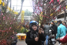 Bộ Nội vụ thống nhất nghỉ tết Nguyên đán 2024 kéo dài 7 ngày