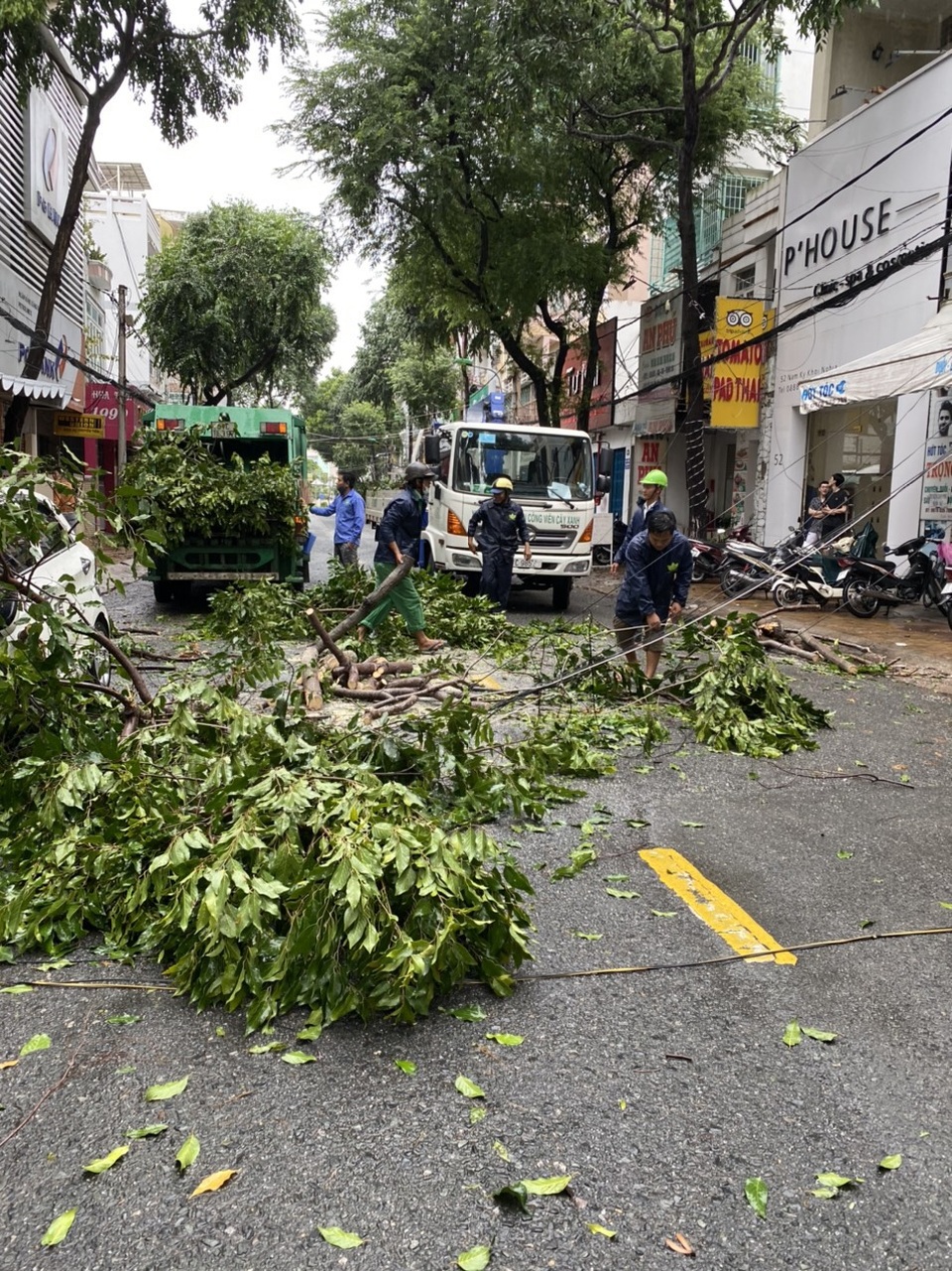 Mưa giông làm tốc mái, xiêu vẹo 17 căn nhà, bật gốc nhiều cây xanh - 6 Mưa giông làm tốc mái, xiêu vẹo 17 căn nhà, bật gốc nhiều cây xanh - 6