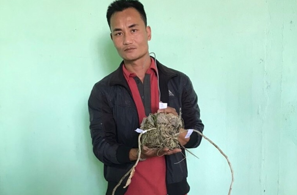 Bị trộm vườn lan 4,5 tỷ đồng, chủ vườn đột quỵ - 1 Bị trộm vườn lan 4,5 tỷ đồng, chủ vườn đột quỵ - 1