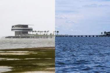 Tại sao nước biển vịnh Tampa rút ngược ra đại dương khi bão Milton đổ bộ