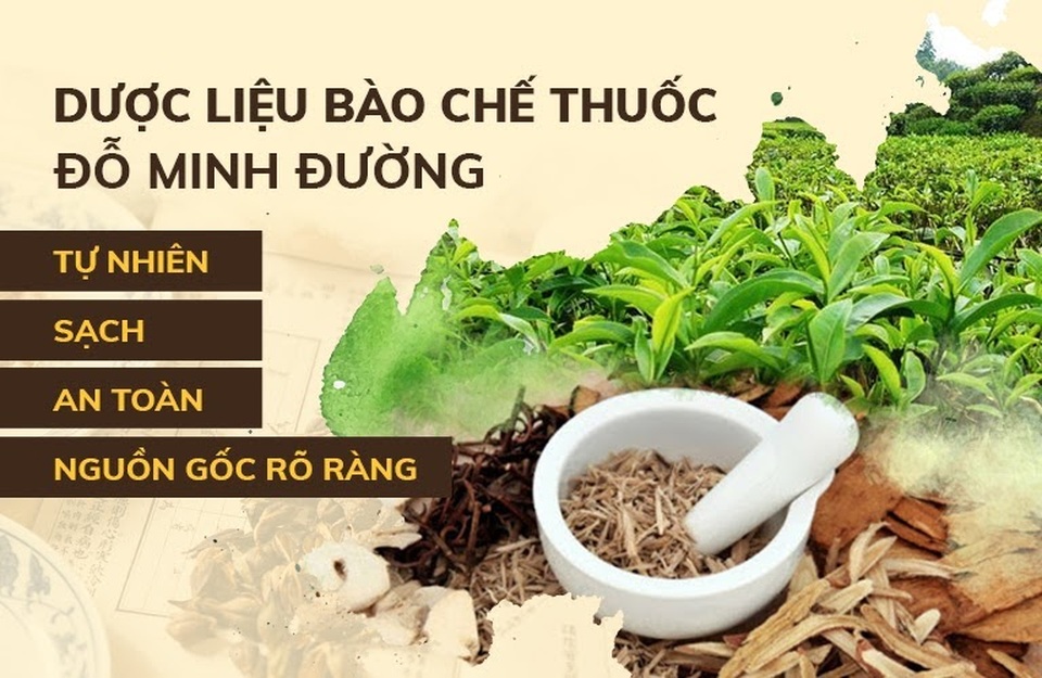Nhà thuốc nam Đỗ Minh Đường, địa chỉ chữa bệnh bằng đông y uy tín - 3 Nhà thuốc nam Đỗ Minh Đường, địa chỉ chữa bệnh bằng đông y uy tín - 3
