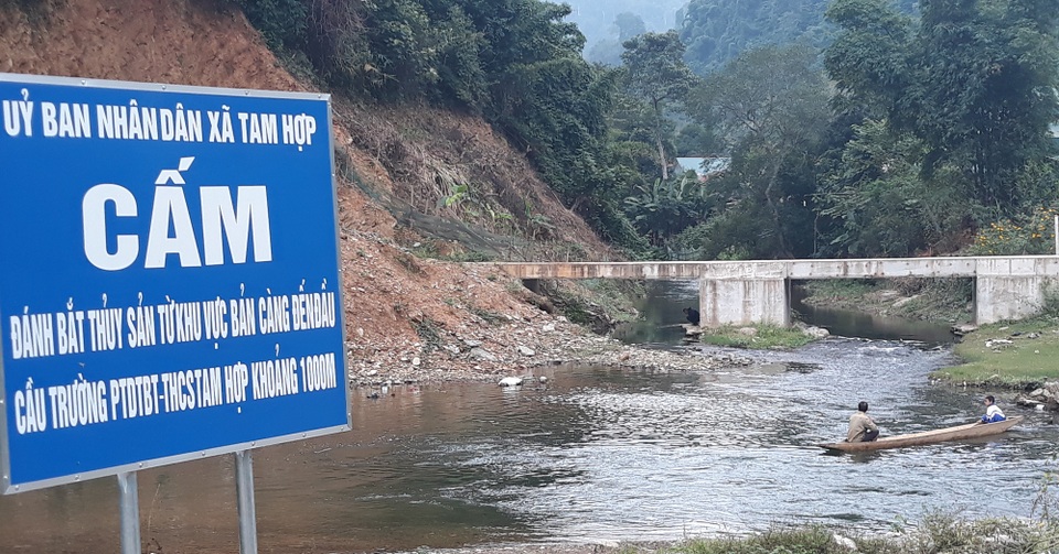 Hồi sinh đàn cá đặc sản trên dòng Chà Lạp - 1 Hồi sinh đàn cá đặc sản trên dòng Chà Lạp - 1