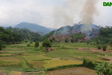 Người dân đốt rẫy để dọn thực bì