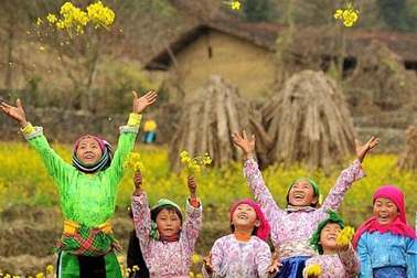 Thu vàng xao xuyến…