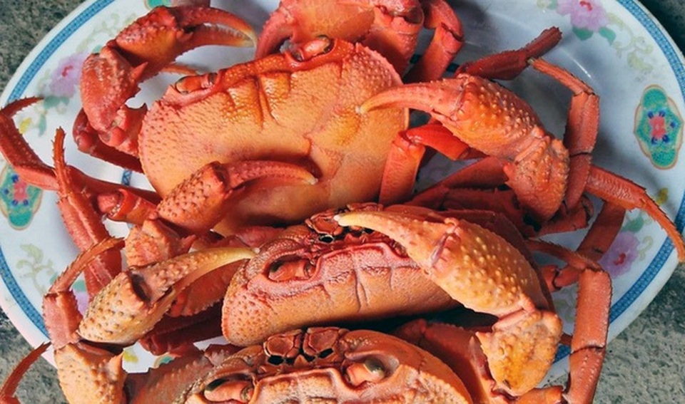 Loại rau cho gia súc vùng cao, bỗng trở thành đặc sản dân Hà Nội săn lùng - 1 Loại rau cho gia súc vùng cao, bỗng trở thành đặc sản dân Hà Nội săn lùng - 1