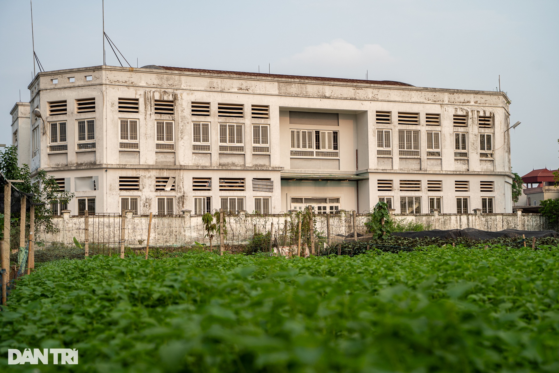 Loạt chợ tiền tỷ bỏ hoang, cây cối mọc thành rừng gây lãng phí tại Hà Nội - 2 Loạt chợ tiền tỷ bỏ hoang, cây cối mọc thành rừng gây lãng phí tại Hà Nội - 2