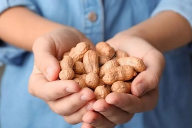 Ăn đậu phộng hàng ngày có thể ngăn ngừa bệnh tim và ung thư