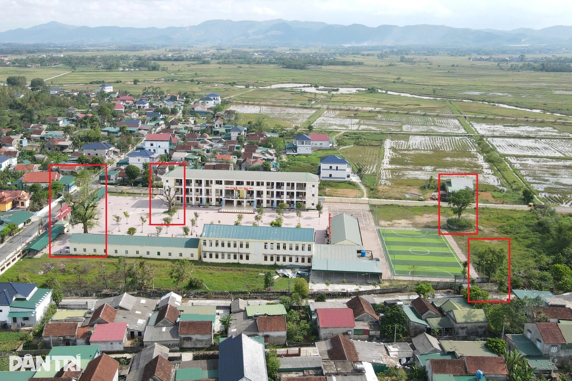 4 cây Kơ nia cổ thụ bí ẩn trong ngôi trường ở Hà Tĩnh - 7 4 cây Kơ nia cổ thụ bí ẩn trong ngôi trường ở Hà Tĩnh - 7