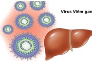 Hai loại virus đe dọa ung thư gan