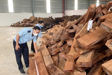 Phát hiện lô gỗ quý “khủng” nhập lậu từ Nigeria vào Việt Nam