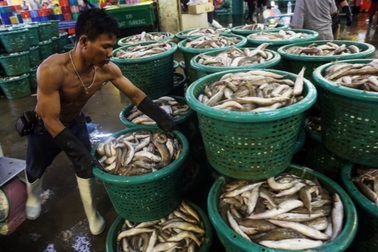 Mỹ bất ngờ đình chỉ ưu đãi thương mại với Thái Lan trị giá 1,3 tỷ USD