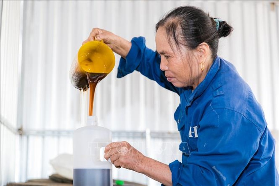 Nhộn nhịp làng nghề vào vụ tết - 1 Nhộn nhịp làng nghề vào vụ tết - 1