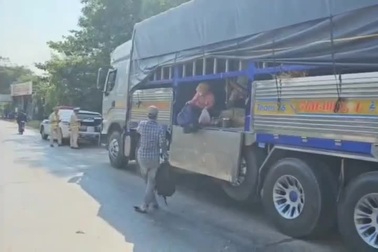 Bình Định: CSGT phát hiện nhiều người mắc võng nằm trong thùng xe tải