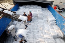 Nhiều doanh nghiệp xuất khẩu gạo phía Nam chưa thể đăng ký tờ khai hải quan