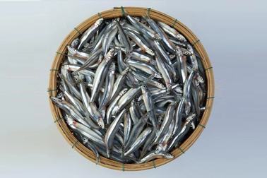 Loại cá "nhà nghèo" lại là kho thuốc quý với cơ thể