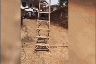 Kỳ lạ về hiện tượng "thang dạo phố" ở Ấn Độ