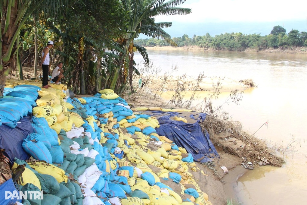 Sạt lở tại nhiều xã, phường, Đà Nẵng công bố tình huống thiên tai khẩn cấp - 1