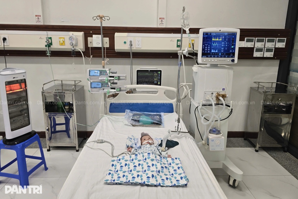 Bé 3 tháng tuổi nguy kịch vì sốc nhiễm khuẩn, cha mẹ nghèo bất lực cầu cứu - 1 Bé 3 tháng tuổi nguy kịch vì sốc nhiễm khuẩn, cha mẹ nghèo bất lực cầu cứu - 1