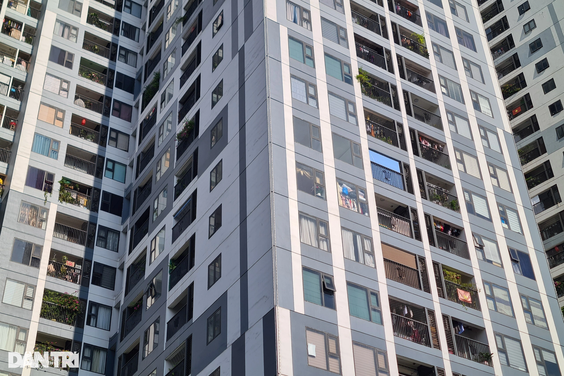 Cận cảnh những khối bê tông khổng lồ mọc dày đặc gần chân cầu Vĩnh Tuy - 4 Cận cảnh những khối bê tông khổng lồ mọc dày đặc gần chân cầu Vĩnh Tuy - 4