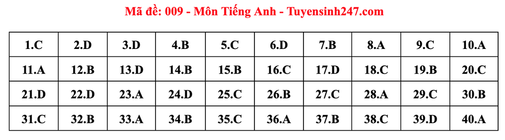 Gợi ý đáp án môn tiếng Anh thi vào lớp 10 năm 2025 của Hà Nội - 9 Gợi ý đáp án môn tiếng Anh thi vào lớp 10 năm 2025 của Hà Nội - 9