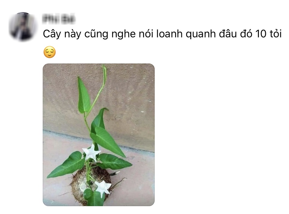 Cười bò khi dân mạng đua nhau chế ảnh giao dịch lan đột biến tiền tỷ - 6 Cười bò khi dân mạng đua nhau chế ảnh giao dịch lan đột biến tiền tỷ - 6