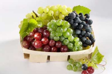 Ăn nho đừng bỏ vỏ