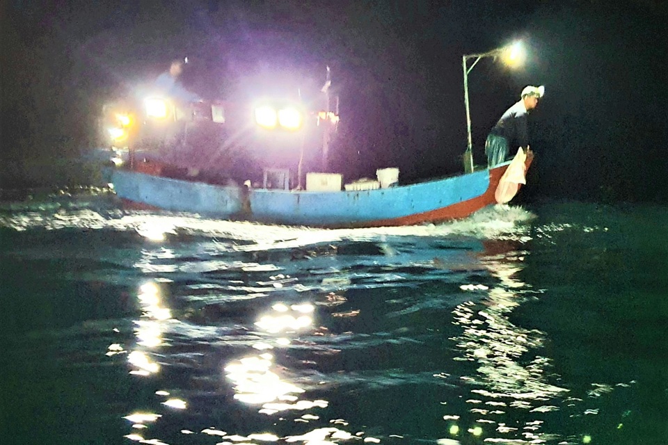 Ngư dân biển Quỳnh đi lộng cho thu nhập cao - 4 Ngư dân biển Quỳnh đi lộng cho thu nhập cao - 4