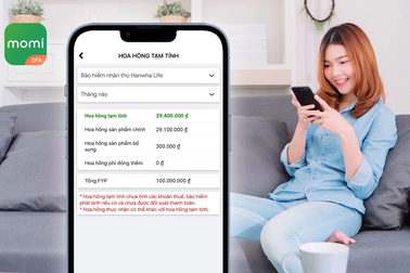 Momi DFA cung ứng nhân lực cho ngành tư vấn tài chính