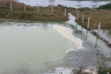 Bể chứa than, xỉ nhà máy nhiệt điện tràn ra kênh nước sinh hoạt