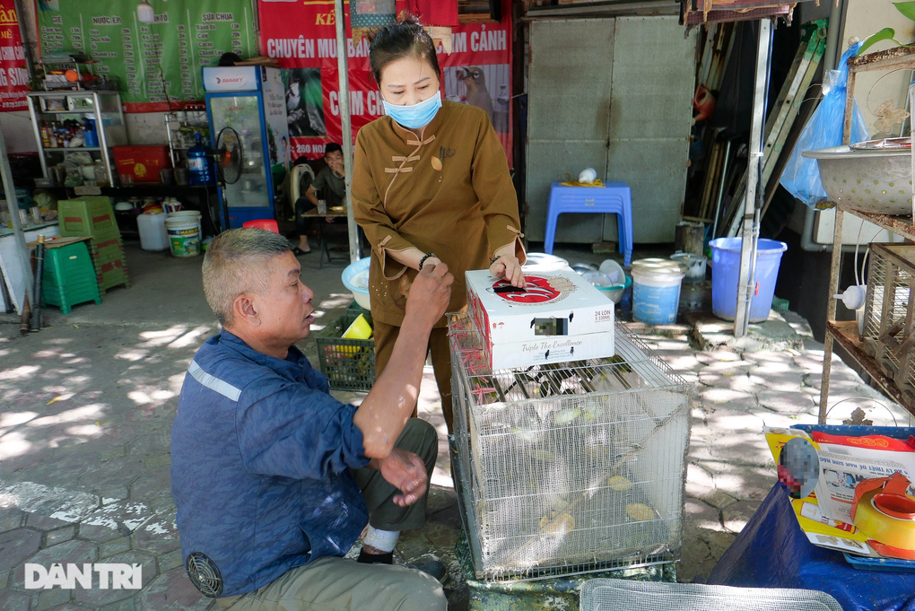 Tiểu thương Hà Nội hốt bạc bán hàng nghìn chim phóng sinh rằm tháng 7 - 2