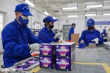 Z121 tăng sản lượng giàn phun hoa, hết cảnh găm hàng hét giá