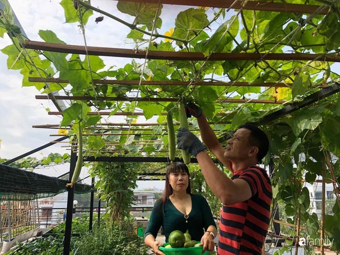 Doanh nhân Sài Gòn trồng cả vườn rau và hoa như trang trại rộng 300m² trên sân thượng cho vợ cùng 4 con được sống gần gũi với thiên nhiên - Ảnh 9. Doanh nhân Sài Gòn trồng cả vườn rau và hoa như trang trại rộng 300m² trên sân thượng cho vợ cùng 4 con được sống gần gũi với thiên nhiên - Ảnh 9.