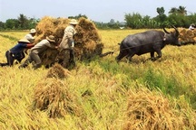 Việt Nam có năng suất lao động thấp nhất châu Á 