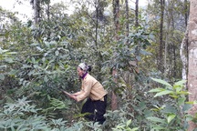 Vì sao người phụ nữ góa chồng, nuôi 5 con viết đơn xin ra khỏi hộ nghèo?