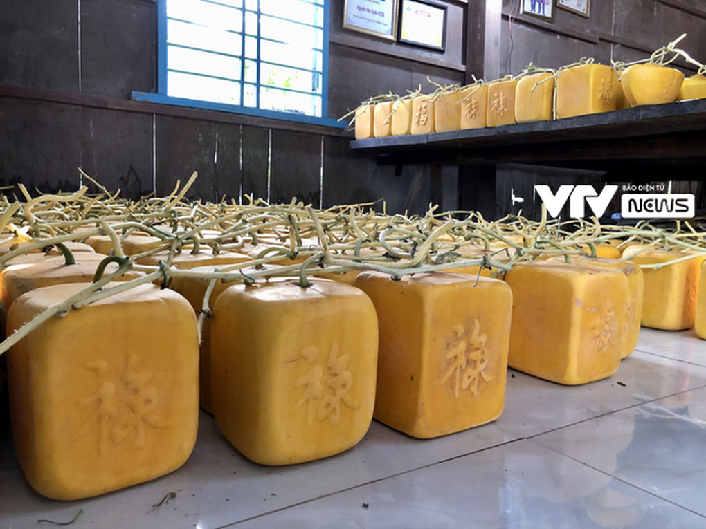 Tạo hình dưa hấu thành thỏi vàng, nông dân thu bạc triệu vụ Tết - 4 Tạo hình dưa hấu thành thỏi vàng, nông dân thu bạc triệu vụ Tết - 4