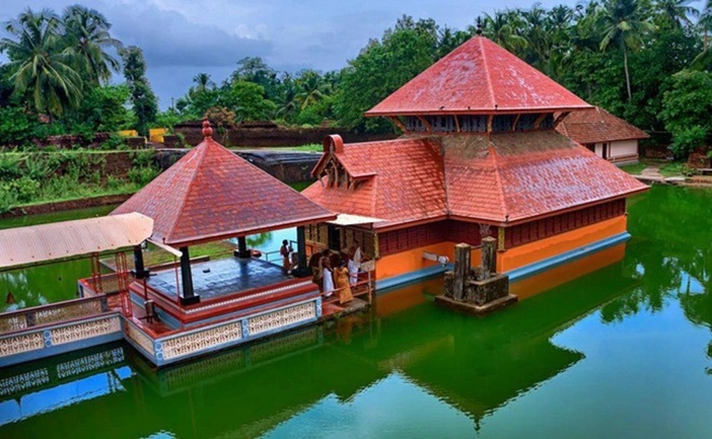 Cá sấu ăn chay chưa từng cắn người, sống ở đền thiêng 80 năm vừa qua đời - 4 Cá sấu ăn chay chưa từng cắn người, sống ở đền thiêng 80 năm vừa qua đời - 4