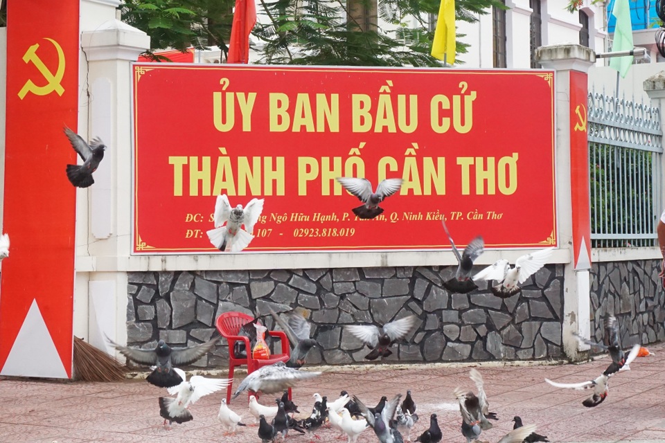 Cần Thơ lên phương án đảm bảo công tác bầu cử an toàn giữa dịch Covid-19 - 2 Cần Thơ lên phương án đảm bảo công tác bầu cử an toàn giữa dịch Covid-19 - 2