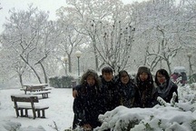 Tản mạn từ nơi “trắng đất, trắng trời bông tuyết bay”