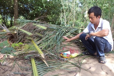 Cháu bé bán vé số chết thảm: Ông chờ mãi cháu về ăn món canh xương!