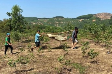 Vụ chìm thuyền vượt sông vào rừng: Tìm thấy thi thể 3 nạn nhân