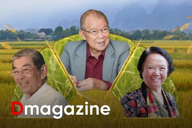 80 năm cây lúa Việt: Từ nạn đói 1945 đến hạt gạo ngon nhất thế giới