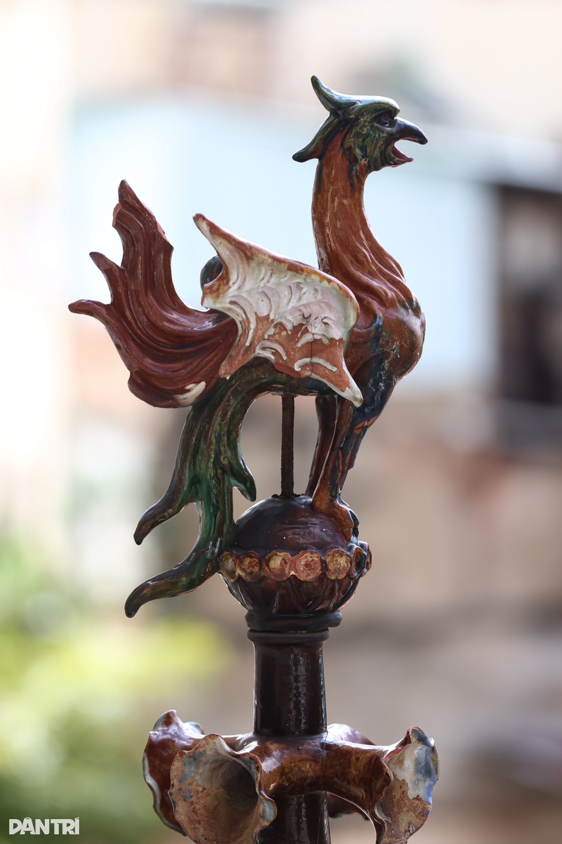 Biệt thự 99 cửa và giai thoại “Con ma nhà họ Hứa” giữa lòng TPHCM - 5 Biệt thự 99 cửa và giai thoại “Con ma nhà họ Hứa” giữa lòng TPHCM - 5