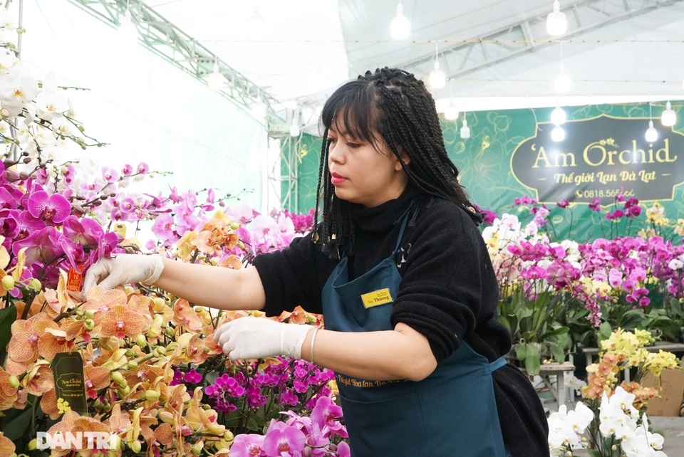 Hoa lan hồ điệp giá trăm triệu tấp nập xuống phố phục vụ đại gia chơi Tết - 3 Hoa lan hồ điệp giá trăm triệu tấp nập xuống phố phục vụ đại gia chơi Tết - 3
