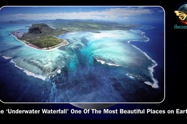 Vẻ đẹp ảo ảnh của thác nước dưới đáy biển