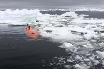 Hiểu về đáy Nam Cực giống như loài người khám phá phần tối Mặt Trăng