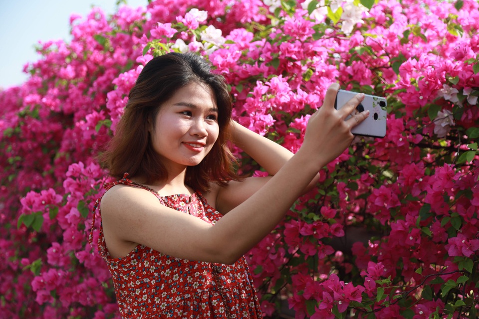 Phát sốt” với con đường hoa giấy đẹp quên lối về ngay gần Hà Nội - 7 Phát sốt” với con đường hoa giấy đẹp quên lối về ngay gần Hà Nội - 7
