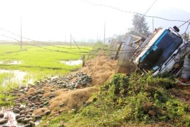 Xe tải lao xuống ruộng, hàng tấn dưa tràn ra ngoài