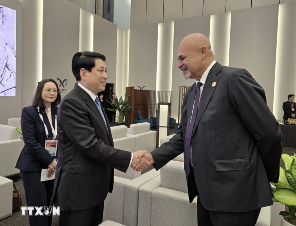 Chủ tịch nước Lương Cường gặp lãnh đạo một số thành viên APEC - 1 Chủ tịch nước Lương Cường gặp lãnh đạo một số thành viên APEC - 1